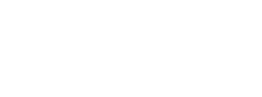 Bisu