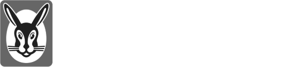 Vaillant